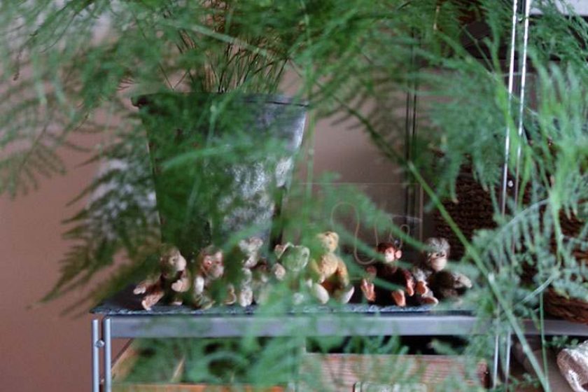 Aufräumservice: Für klaren Durchblick